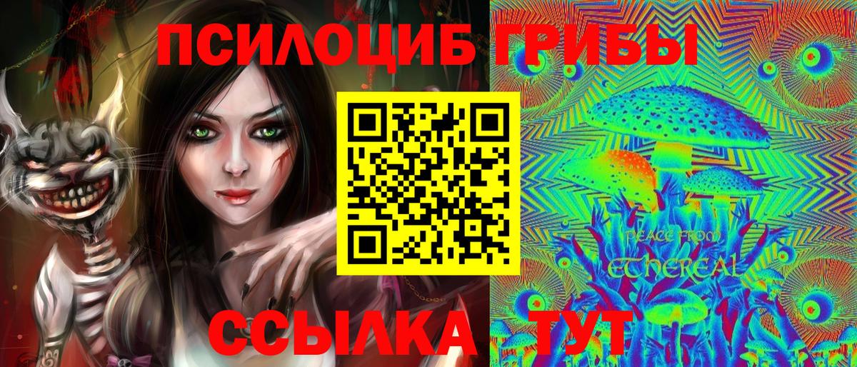Галлюциногенные грибы Psilocybe Краснокаменск